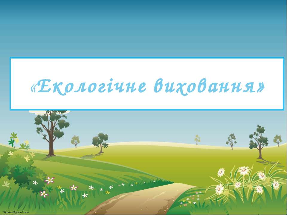 images 03349